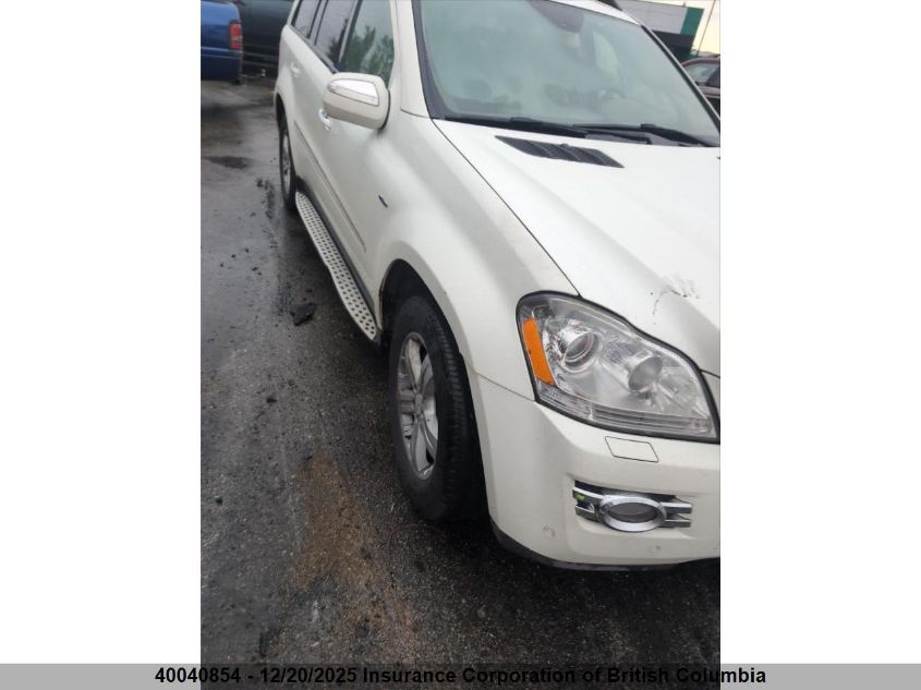 2009 Mercedes-Benz Gl VIN: 4JGBF25EX9A478257 Lot: 40040854