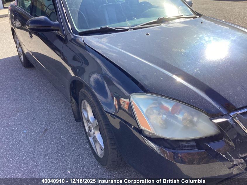 2003 Nissan Altima Se VIN: 1N4BL11E13C193137 Lot: 40040910