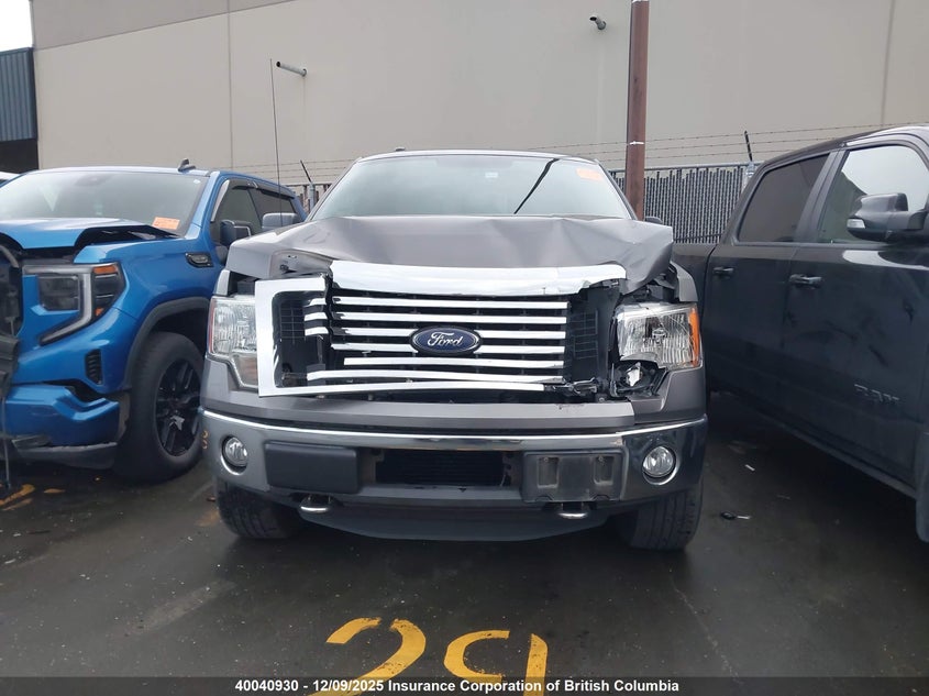 1FTFW1ET9CKE12508 2012 FORD F-150 photo no. 12