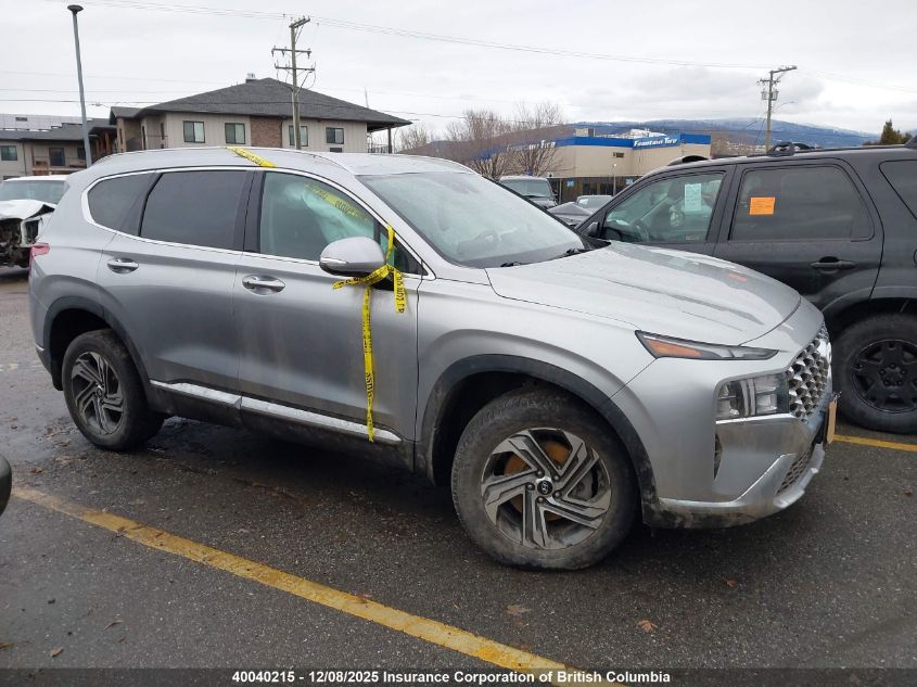 2021 Hyundai Santa Fe Sel VIN: 5NMS3DAJXMH356797 Lot: 40040215