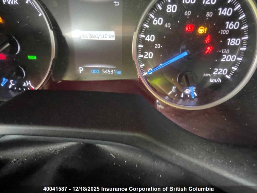 2019 Toyota Rav4 VIN: 2T3BWRFV0KW030631 Lot: 40041587