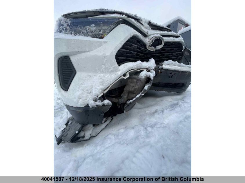 2019 Toyota Rav4 VIN: 2T3BWRFV0KW030631 Lot: 40041587