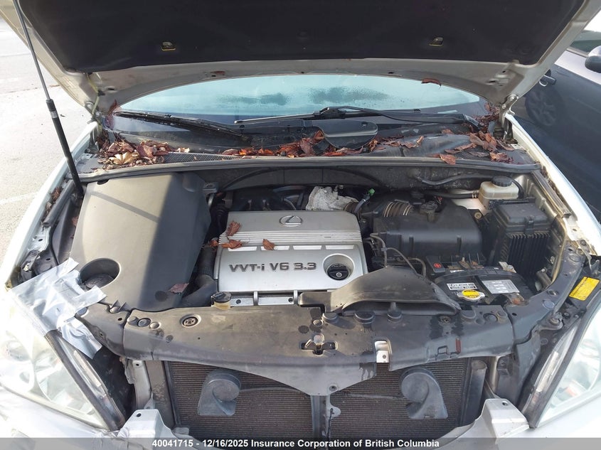 JTJHA31U840011091 2004 LEXUS RX photo no. 10