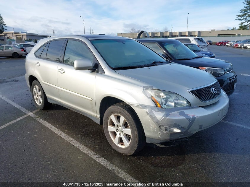 JTJHA31U840011091 2004 LEXUS RX photo no. 6