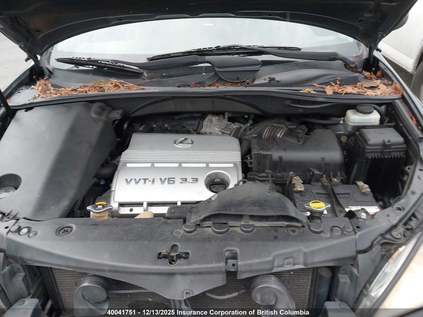 JTJHA31UX50096372 2005 LEXUS RX photo no. 10