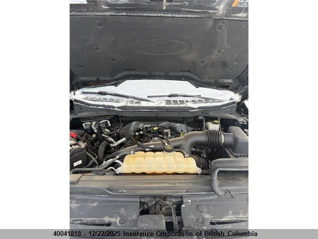 2021 Ford F150 VIN: 1FTEW1EP1MFB96906 Lot: 40041818