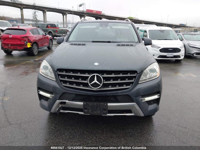 4JGDA5HB5CA074784 2012 MERCEDES-BENZ M-KLASSE photo no. 12
