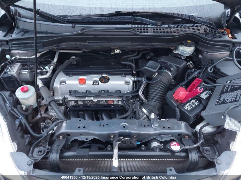 2010 Honda Cr-V VIN: 5J6RE4H58AL810101 Lot: 40041950