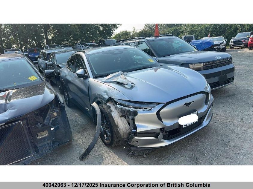 2021 Ford Mustang Mach-E Select VIN: 3FMTK1SS9MMA49630 Lot: 40042063