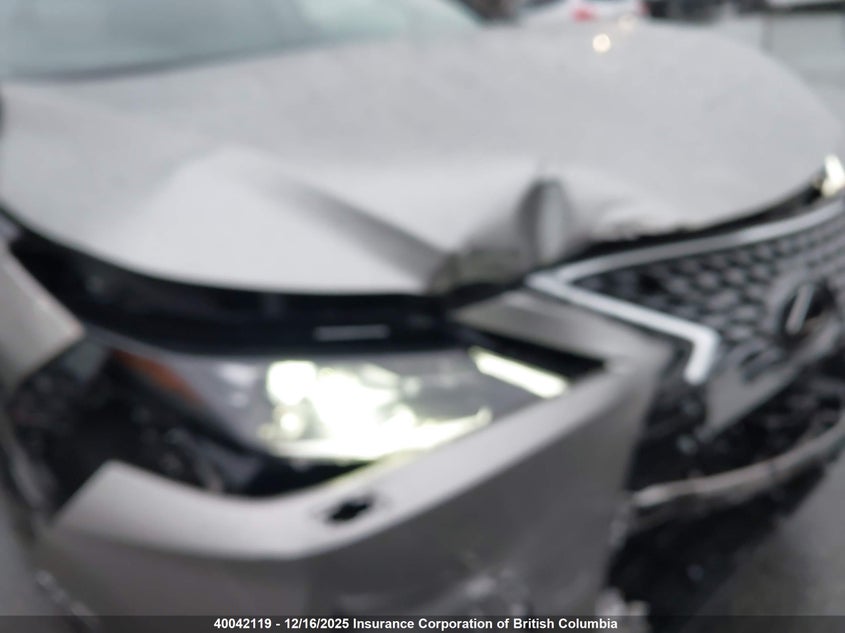 2T2HZMDA1LC232602 2020 LEXUS RX photo no. 10