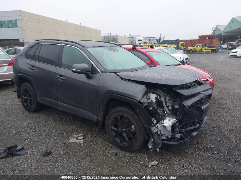 2019 Toyota Rav4 Le VIN: 2T3B1RFV4KW063906 Lot: 40040655