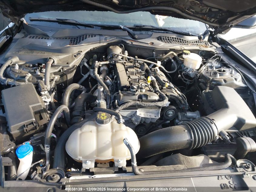 2023 Ford Mustang VIN: 1FA6P8TH6P5104923 Lot: 40038139