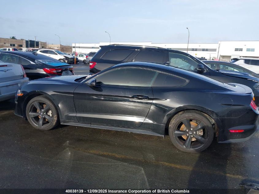 2023 Ford Mustang VIN: 1FA6P8TH6P5104923 Lot: 40038139