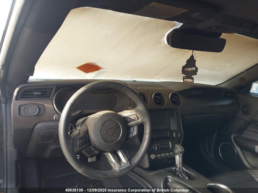 2023 Ford Mustang VIN: 1FA6P8TH6P5104923 Lot: 40038139