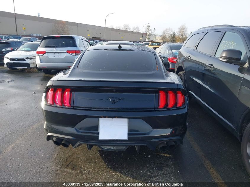 2023 Ford Mustang VIN: 1FA6P8TH6P5104923 Lot: 40038139