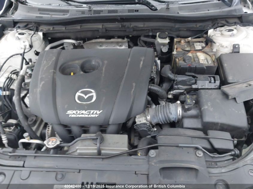 2016 Mazda 3 Touring VIN: 3MZBM1L70GM243033 Lot: 40042480