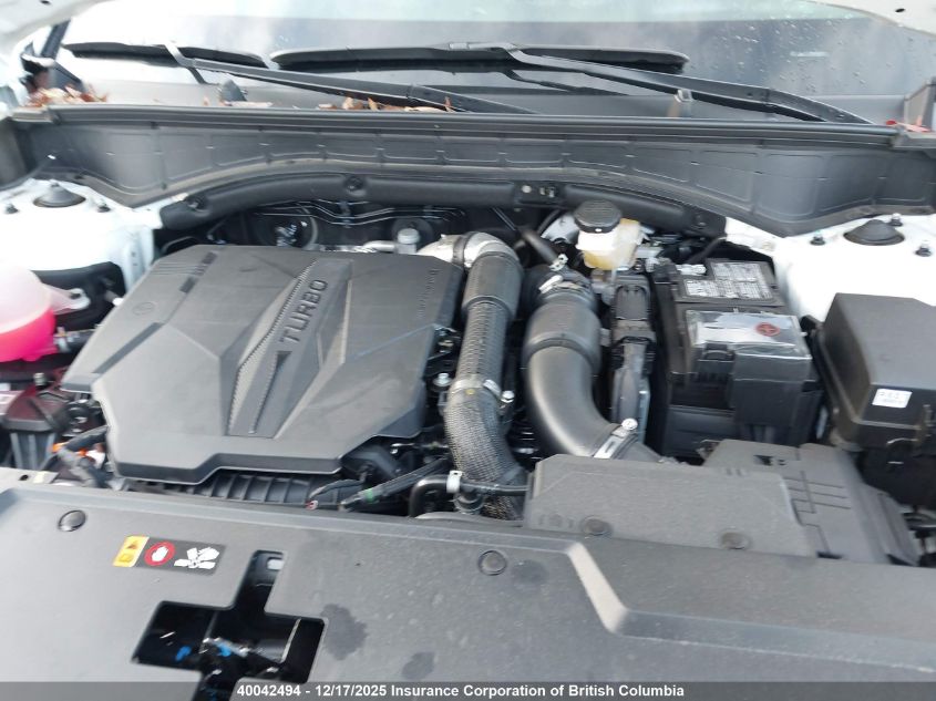 2025 Hyundai Santa Fe Calligraphy VIN: 5NMP5DGL5SH134061 Lot: 40042494