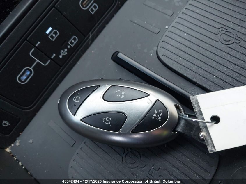 2025 Hyundai Santa Fe Calligraphy VIN: 5NMP5DGL5SH134061 Lot: 40042494