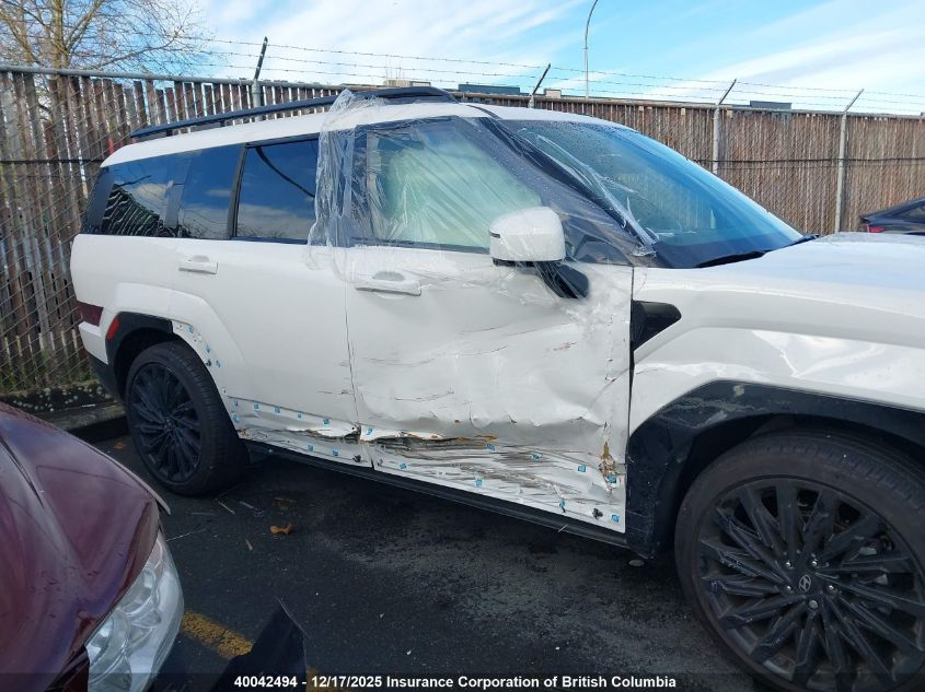 2025 Hyundai Santa Fe Calligraphy VIN: 5NMP5DGL5SH134061 Lot: 40042494