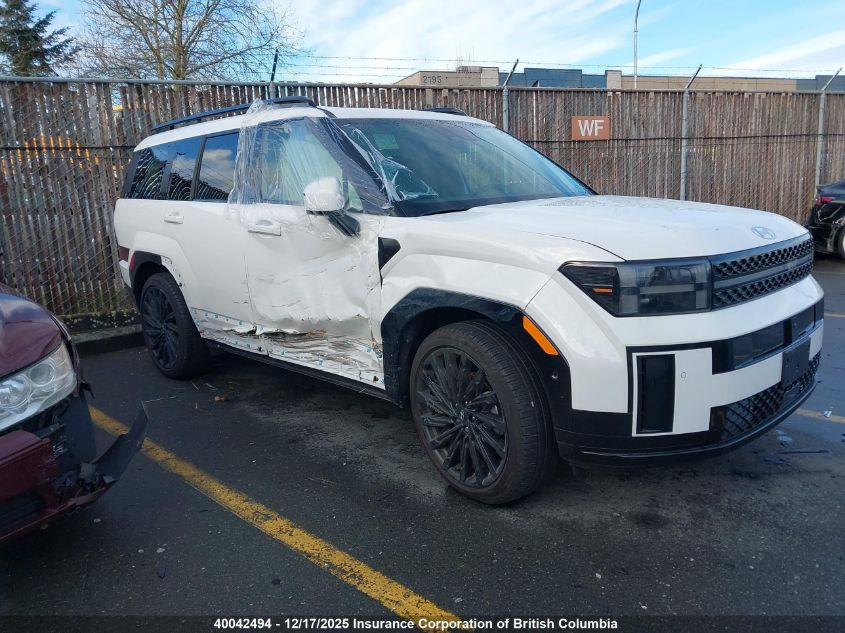 2025 Hyundai Santa Fe Calligraphy VIN: 5NMP5DGL5SH134061 Lot: 40042494