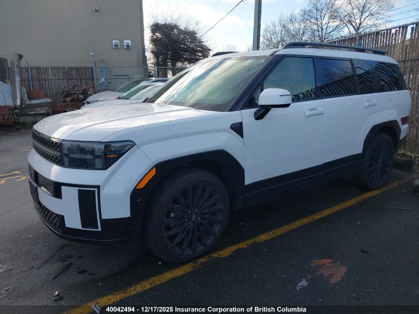 2025 Hyundai Santa Fe Calligraphy VIN: 5NMP5DGL5SH134061 Lot: 40042494