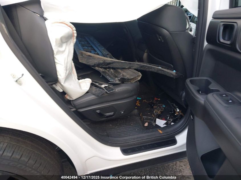 2025 Hyundai Santa Fe Calligraphy VIN: 5NMP5DGL5SH134061 Lot: 40042494