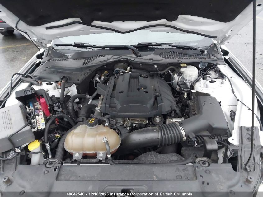 2019 Ford Mustang VIN: 1FA6P8TH0K5103209 Lot: 40042540