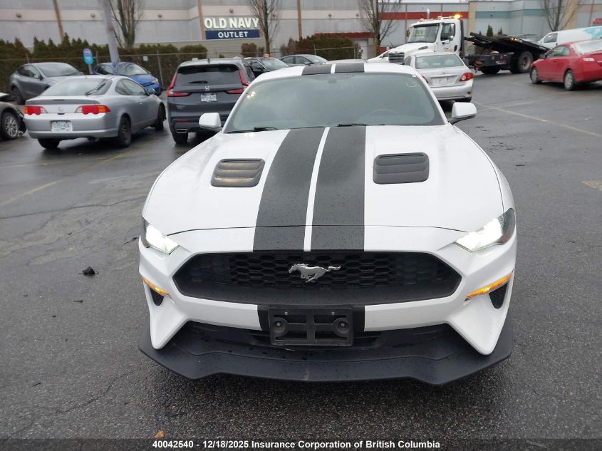 2019 Ford Mustang VIN: 1FA6P8TH0K5103209 Lot: 40042540