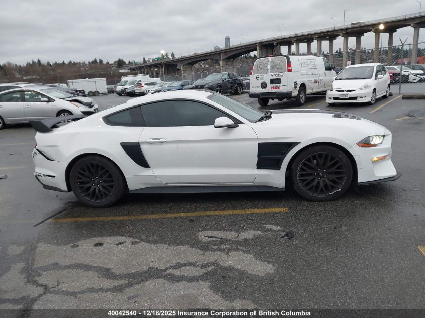 2019 Ford Mustang VIN: 1FA6P8TH0K5103209 Lot: 40042540