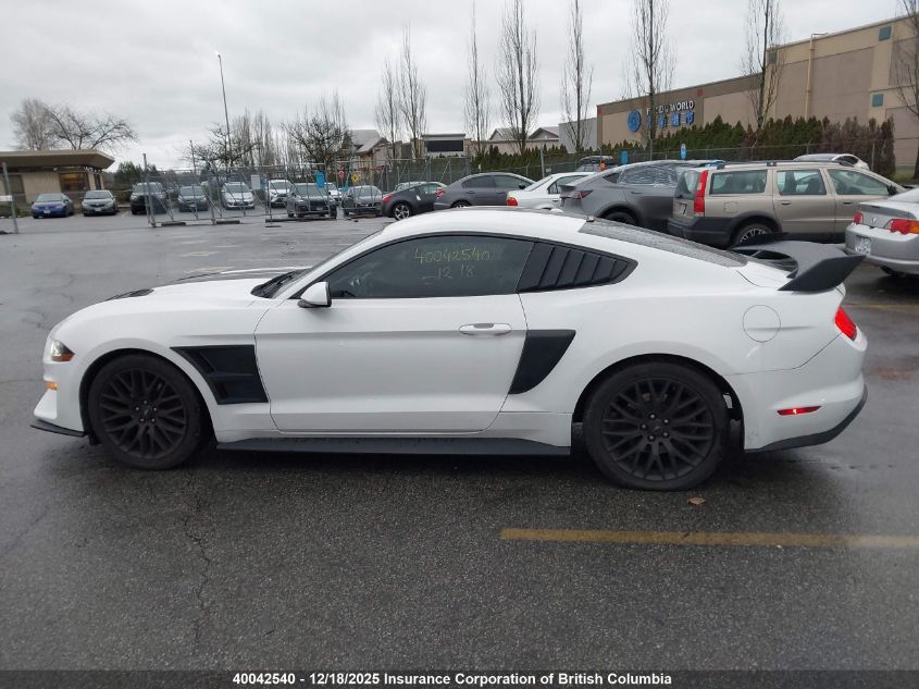 2019 Ford Mustang VIN: 1FA6P8TH0K5103209 Lot: 40042540