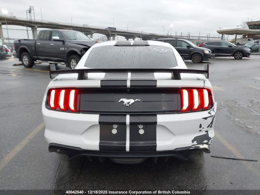 2019 Ford Mustang VIN: 1FA6P8TH0K5103209 Lot: 40042540