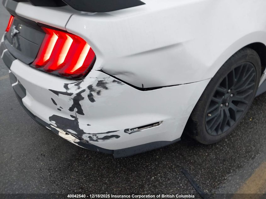 2019 Ford Mustang VIN: 1FA6P8TH0K5103209 Lot: 40042540