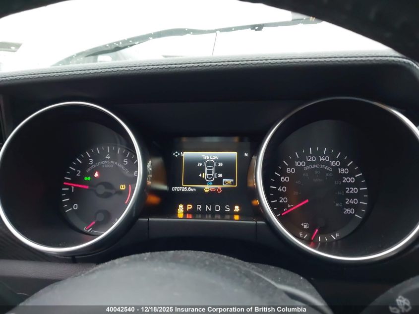 2019 Ford Mustang VIN: 1FA6P8TH0K5103209 Lot: 40042540