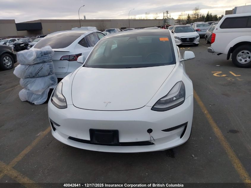 2020 Tesla Model 3 VIN: 5YJ3E1EA0LF798561 Lot: 40042641