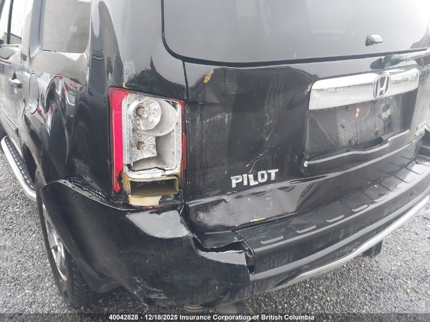 2009 Honda Pilot VIN: 5FNYF48959B504019 Lot: 40042828