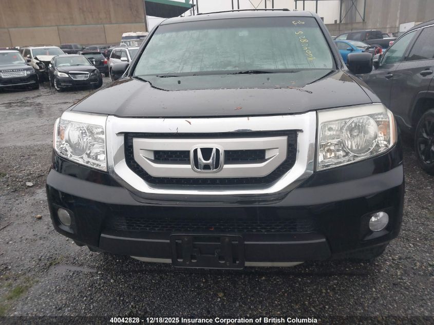 2009 Honda Pilot VIN: 5FNYF48959B504019 Lot: 40042828