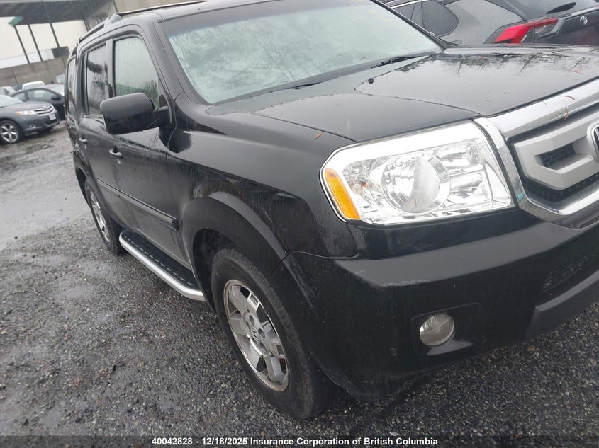 5FNYF48959B504019 2009 Honda Pilot auction photo 1