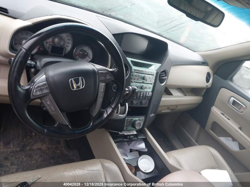 2009 Honda Pilot VIN: 5FNYF48959B504019 Lot: 40042828