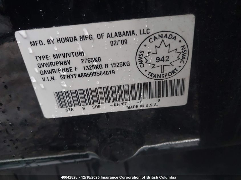 2009 Honda Pilot VIN: 5FNYF48959B504019 Lot: 40042828