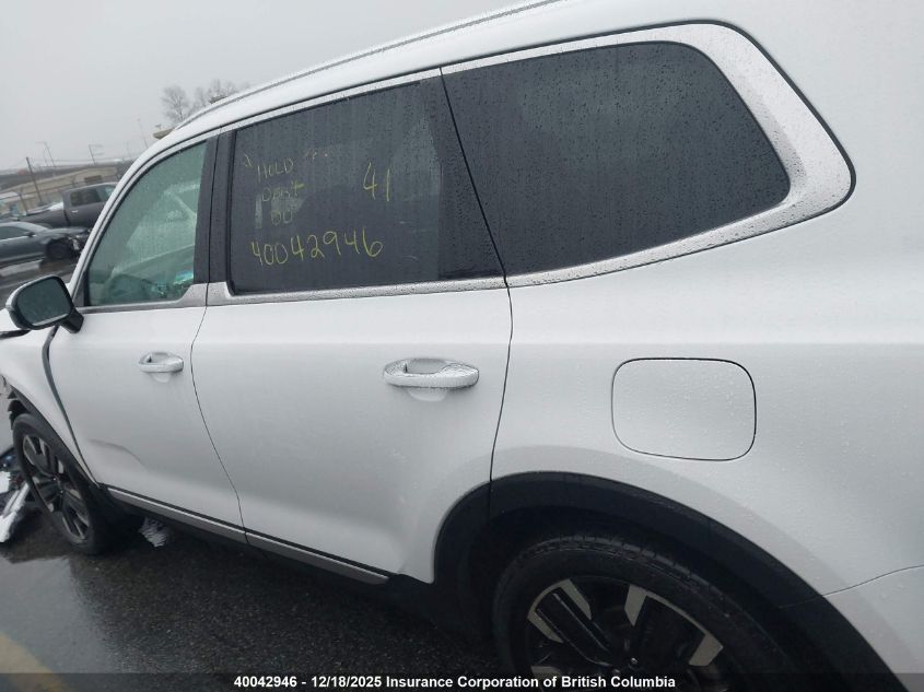 2024 Kia Telluride Sx/Sx Limited/X-Line/X-Pro VIN: 5XYP5DGC2RG548368 Lot: 40042946