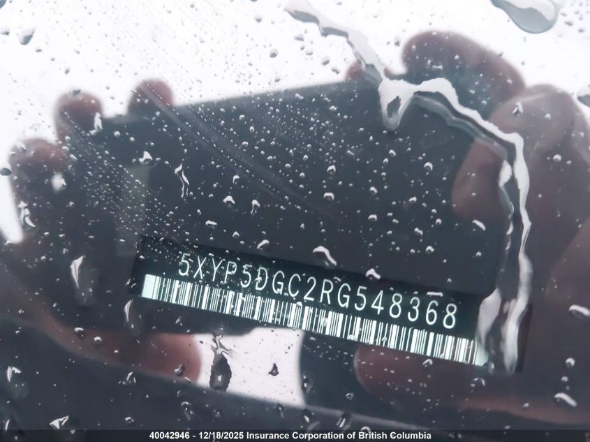 2024 Kia Telluride Sx/Sx Limited/X-Line/X-Pro VIN: 5XYP5DGC2RG548368 Lot: 40042946