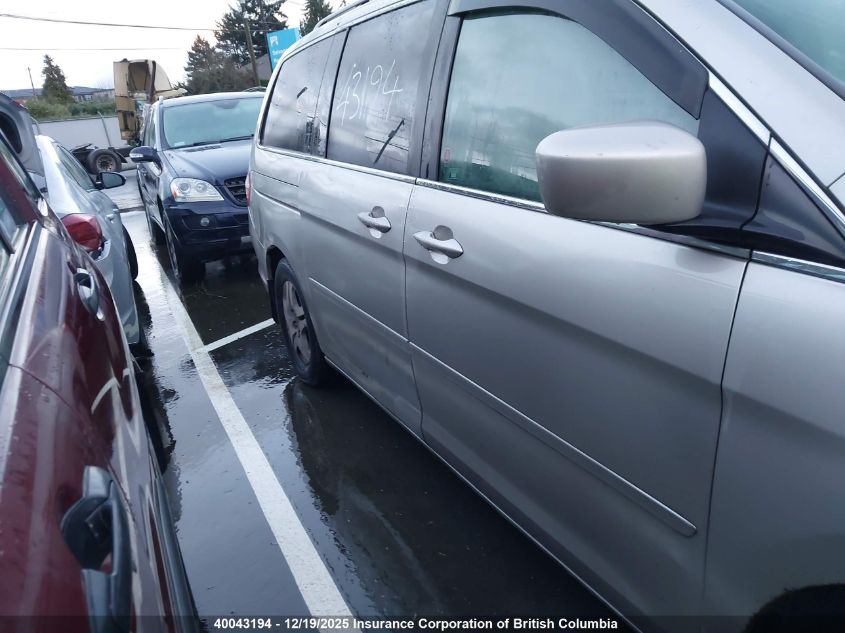 2007 Honda Odyssey Exl VIN: 5FNRL38777B502145 Lot: 40043194