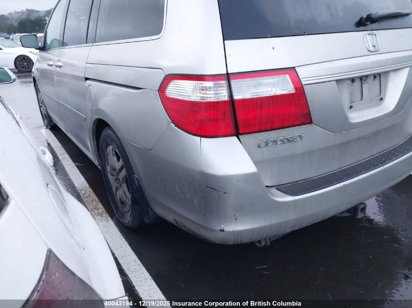 2007 Honda Odyssey Exl VIN: 5FNRL38777B502145 Lot: 40043194