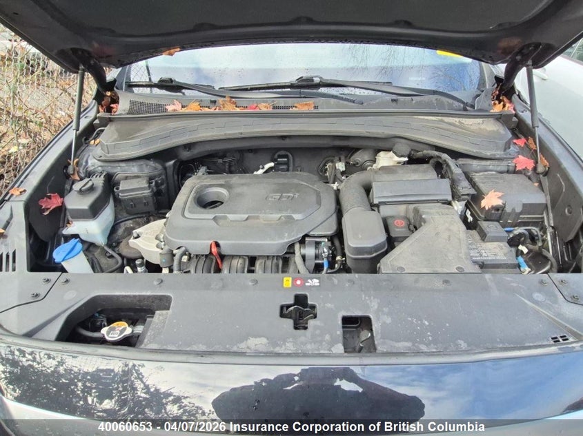 2020 Hyundai Santa Fe Se VIN: 5NMS2CADXLH209188 Lot: 40060653