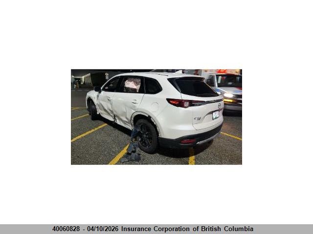 2019 Mazda Cx-9 VIN: JM3TCBEY3K0310684 Lot: 40060828