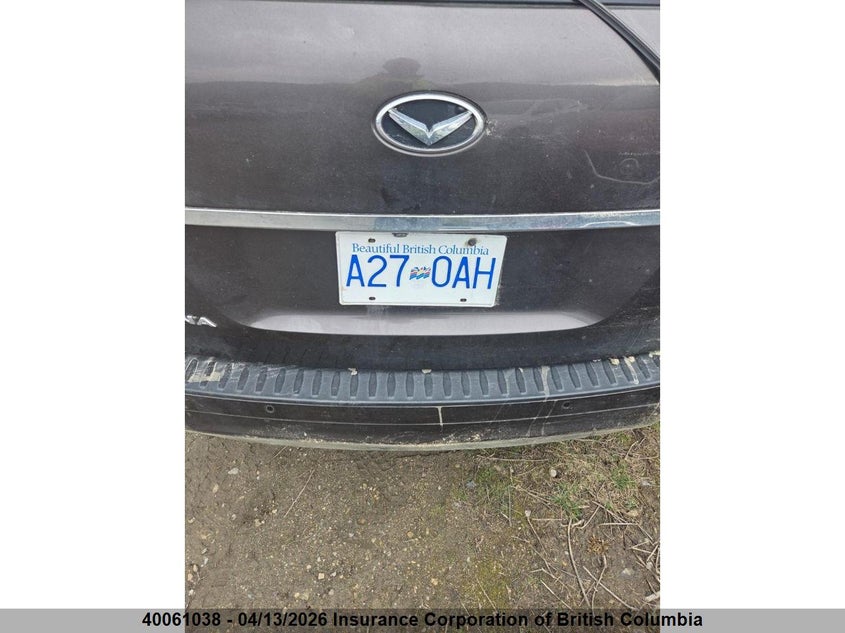 2016 Kia Sedona Lx VIN: KNDMB5C14G6123191 Lot: 40061038