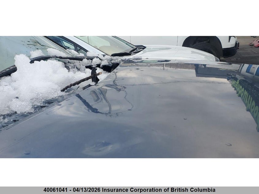 2005 Ford F150 VIN: 1FTRX14WX5NB80203 Lot: 40061041