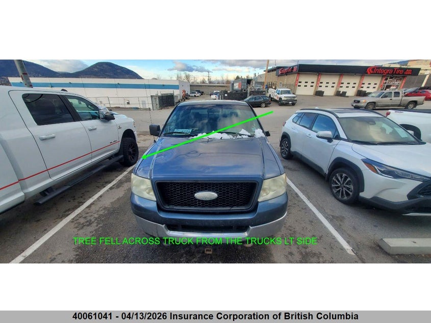 2005 Ford F150 VIN: 1FTRX14WX5NB80203 Lot: 40061041