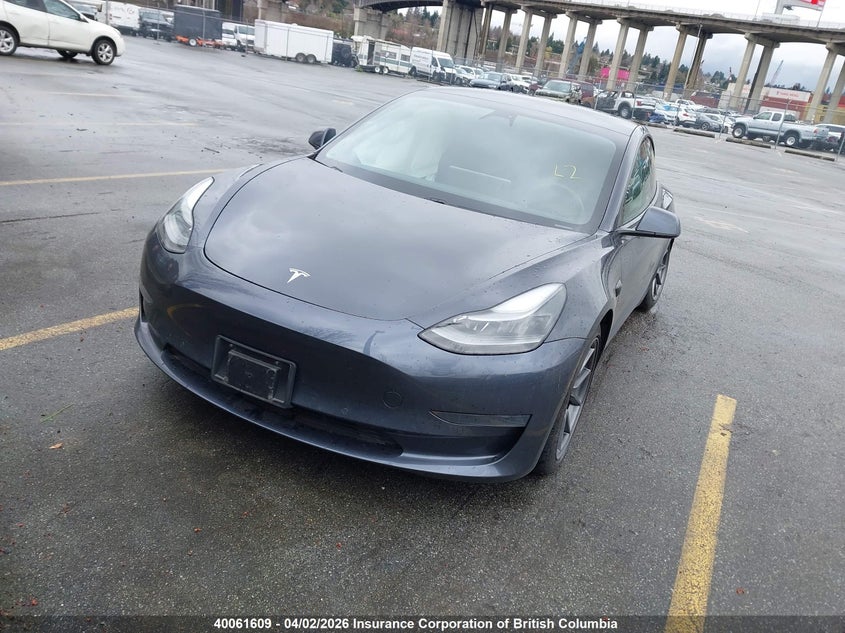 Vin: 5yj3e1ea5mf973890, lot: 30074366, tesla model 3 20212