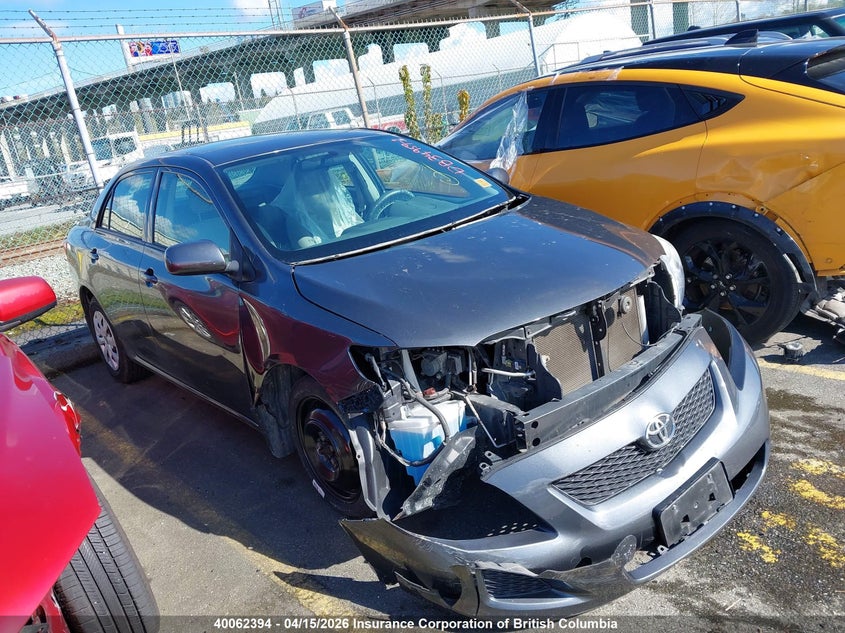 2009 Toyota Corolla S/Le/Xle VIN: 2T1BU40E49C146937 Lot: 40062394